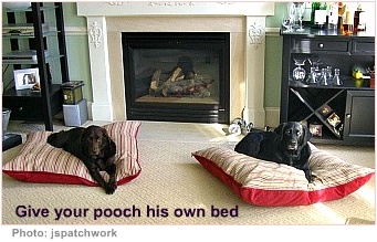 house pets dog beds