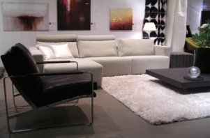 masculine contemporary living room